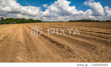 Arable field with cloudy sky in the background 126456485