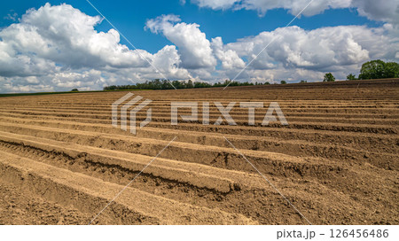 Arable field with cloudy sky in the background 126456486
