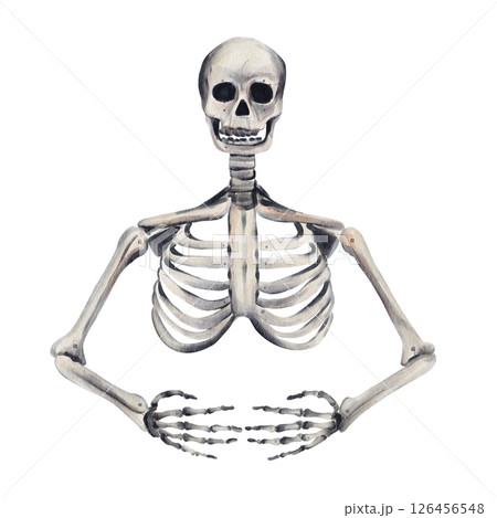 Human skeleton. bones and hands and skull. anatomical drawing. Halloween decor. romantic gothic vintage skeleton. Watercolor illustration. Hand drawing. High quality illustration Human skeleton. bones and hands and skull. anatomical drawing. Halloween decor. romantic gothic vintage skeleton. Watercolor illustration. Hand drawing. High quality illustration 126456548