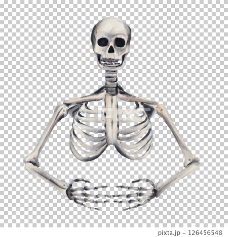 Human skeleton. bones and hands and skull. anatomical drawing. Halloween decor. romantic gothic vintage skeleton. Watercolor illustration. Hand drawing. High quality illustration Human skeleton. bones and hands and skull. anatomical drawing. Halloween decor. romantic gothic vintage skeleton. Watercolor illustration. Hand drawing. High quality illustration 126456548