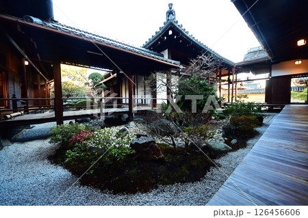 京都府 東寺 観智院・庭園「四方正面の庭」 京都市 南区 九条町 2022年2月 京都府 東寺 観智院・庭園「四方正面の庭」 京都市 南区 九条町 2022年2月 126456606