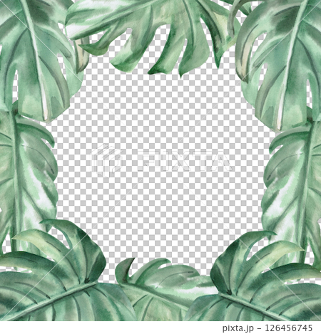 Square frame of green monstera leaves. Isolated watercolor illustration for wedding print design, tableware, textile printing, interior design. 126456745