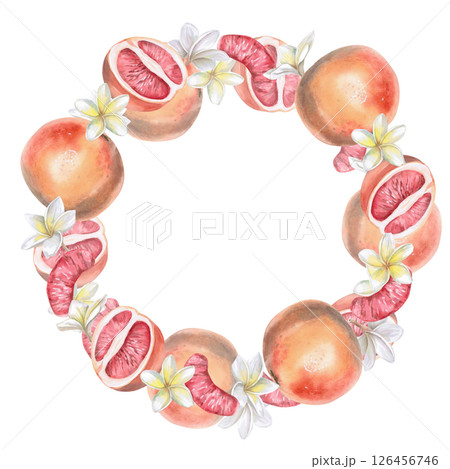 Round frame of whole and halves of grapefruit and plumeria flowers. Isolated watercolor illustration for wedding print design, tableware, textile printing, interior design. Round frame of whole and halves of grapefruit and plumeria flowers. Isolated watercolor illustration for wedding print design, tableware, textile printing, interior design. 126456746
