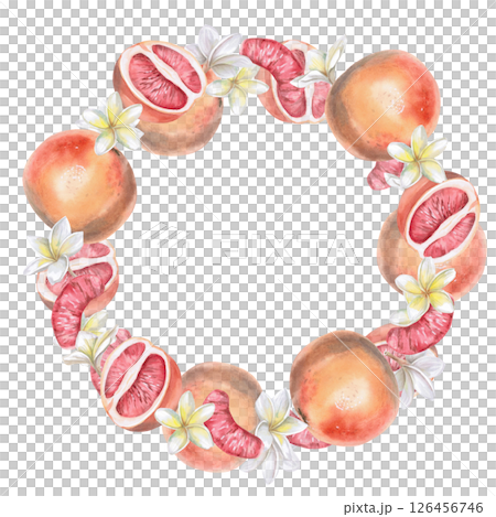 Round frame of whole and halves of grapefruit and plumeria flowers. Isolated watercolor illustration for wedding print design, tableware, textile printing, interior design. Round frame of whole and halves of grapefruit and plumeria flowers. Isolated watercolor illustration for wedding print design, tableware, textile printing, interior design. 126456746