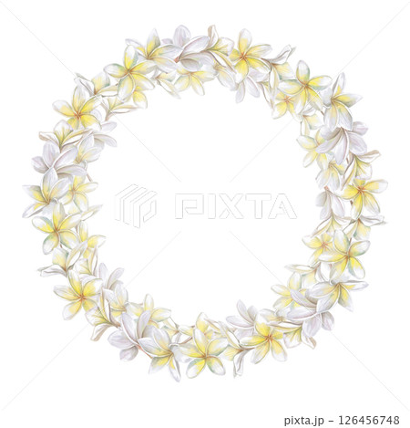 Round lush frame, wreath of white plumeria flowers. Isolated watercolor illustration for wedding print design, tableware, textile printing, interior design. 126456748