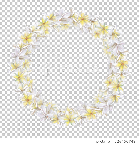 Round lush frame, wreath of white plumeria flowers. Isolated watercolor illustration for wedding print design, tableware, textile printing, interior design. 126456748