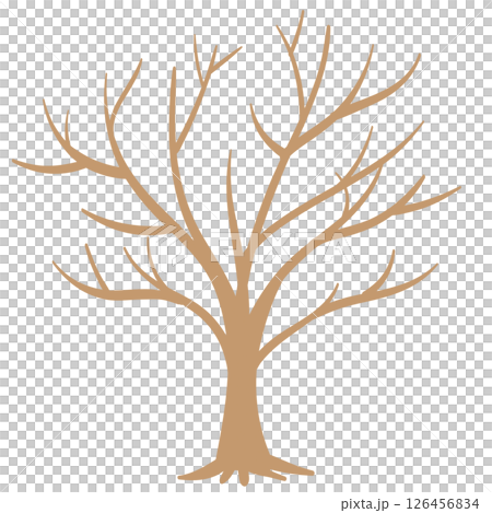A tree with a thin and thin 126456834