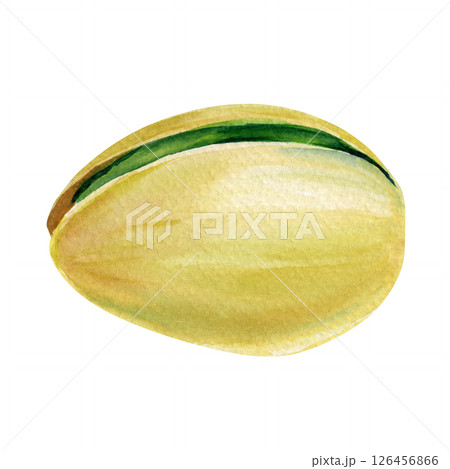 Pistachio Watercolor illustration of a closed pistachio nut in shell. Realistic hand-painted food design snack clip art 126456866
