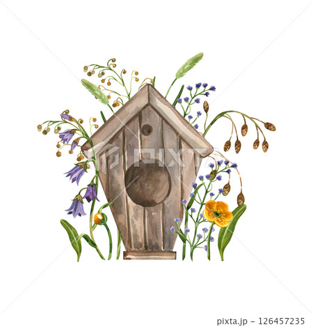 Birdhouse, wild flowers buttercups, timothy grass, greenery, cereal plants. All objects are hand-painted with watercolors. Watercolor composition for printing on postcards, invitations, posters. 126457235