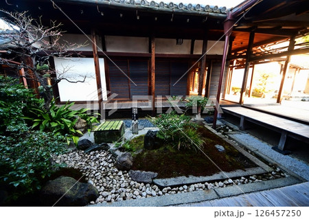 京都府　東寺 観智院・庭園「四方正面の庭」 京都市 南区 九条町　2022年2月 126457250