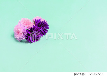 Aster flowers on a light blue background 126457296
