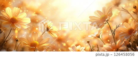 Golden Evening Light Highlights Flowers in a Blooming Field During Springtime in a Tranquil Setting 126458056