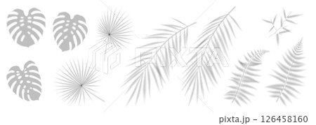 Abstract Leaf Shadows with Minimalist Aesthetic Abstract Leaf Shadows with Minimalist Aesthetic 126458160