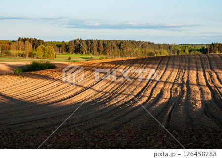 Golden hour light casts long shadows over freshly plowed fields with forested horizon and blue sky in scenic rural landscape Golden hour light casts long shadows over freshly plowed fields with forested horizon and blue sky in scenic rural landscape 126458288