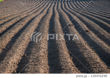 Sunrise over freshly plowed brown soil with long, parallel lines creating a rhythmic pattern, ideal for agriculture and nature lovers Sunrise over freshly plowed brown soil with long, parallel lines creating a rhythmic pattern, ideal for agriculture and nature lovers 126458290