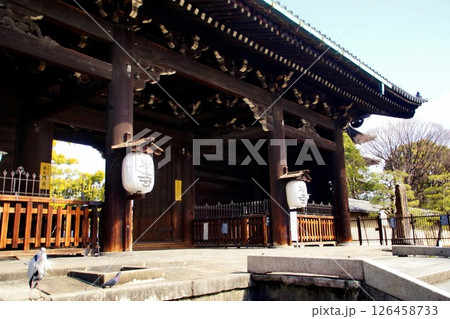 京都府　東寺・南大門（重要文化財） 京都市 南区 九条町　2022年2月 126458733