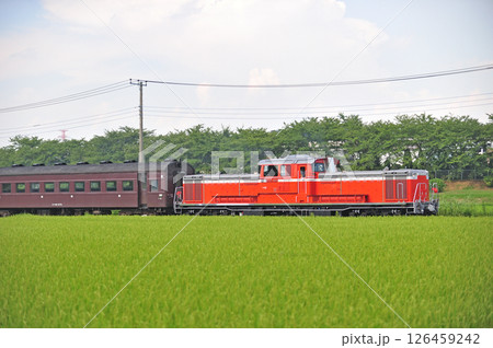 八高線　松久－用土　JR東日本　DD51-842＋スハフ42-2173＋DD51-888（高崎） 126459242