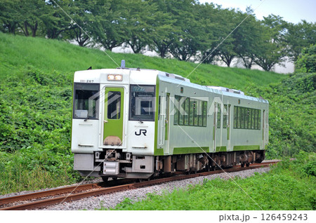 八高線　竹沢－折原　JR東日本　キハ111-207＋キハ112-207（高崎） 126459243