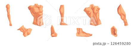 Human Body Part Separated with Skin Vector Setのイラスト素材 [126459280] - PIXTA