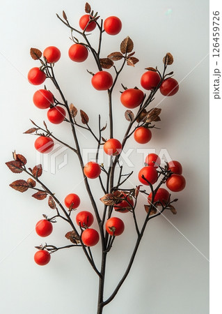 Tomato plant with ripe red fruits and green leaves on textured backdrop 126459726