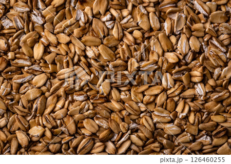 Texture of wheat grains close-up background Texture of wheat grains close-up background 126460255