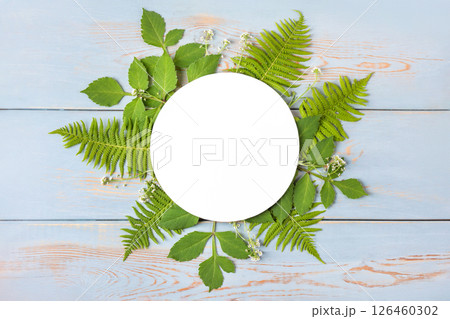 Green fern leaves and dahlias on a blue wooden background. Creative layout made of leaves with round paper card note. Flat lay. Nature concept 126460302