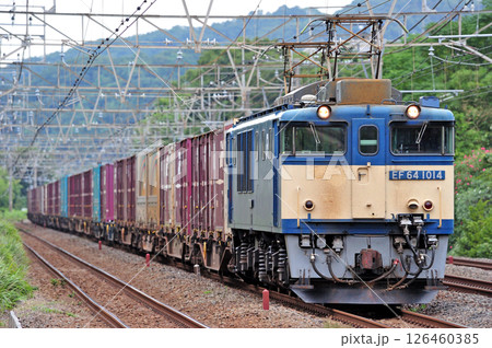 東海道本線 二宮-国府津 JR貨物 EF64-1014(愛知) 東海道本線 二宮-国府津 JR貨物 EF64-1014(愛知) 126460385