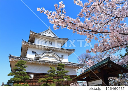 【香川県】桜咲く春の丸亀城（現存天守と石垣の名城） 126460685