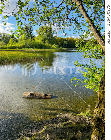 Tranquil river scene with wooden log floating on surface, surrounded by lush greenery highlighting impact of pollution on natural habitats. 126460875