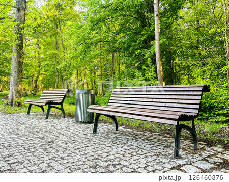 Wooden benches are placed in city park, surrounded by lush trees, creating a peaceful atmosphere for visitors, tourists and citizens. Provision of urban amenities concept 126460876