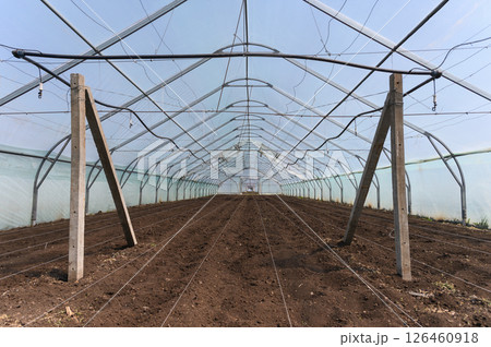 Empty greenhouse with prepared soil for planting season. 126460918