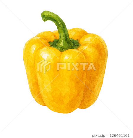 水彩で描かれた黄色いパプリカのイラスト(野菜・食材) 水彩で描かれた黄色いパプリカのイラスト(野菜・食材) 126461161