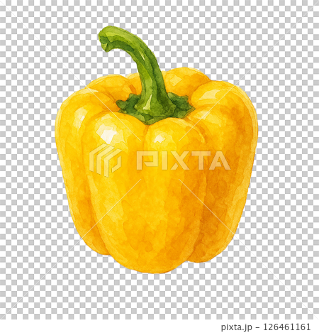 水彩で描かれた黄色いパプリカのイラスト(野菜・食材) 水彩で描かれた黄色いパプリカのイラスト(野菜・食材) 126461161