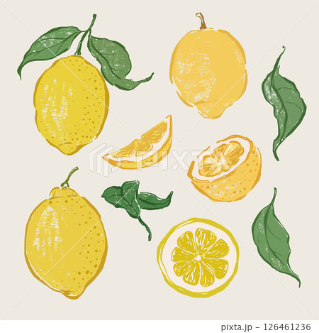 Vector fruit doodle illustration of juicy lemons and green leaves. Hand-drawn garden harvest sketch. Organic farm graphics. Tasty food for design, veggie market drawing print, fabric or background. Vector fruit doodle illustration of juicy lemons and green leaves. Hand-drawn garden harvest sketch. Organic farm graphics. Tasty food for design, veggie market drawing print, fabric or background. 126461236