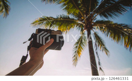 Single palm tree on dark soft light .Background concept. Generated Imag 126461331