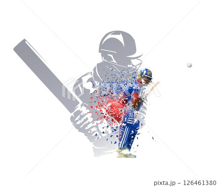 Cricket collage, group of cricket players, collage of isolated vector illustrations 126461380