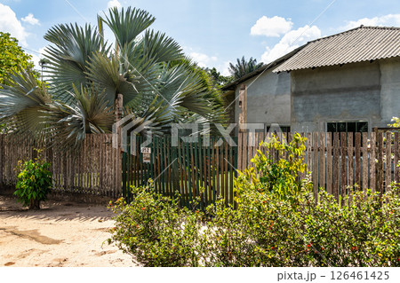 American-style houses in Belterra, Para in Brazil. American village built by Henry Ford 126461425