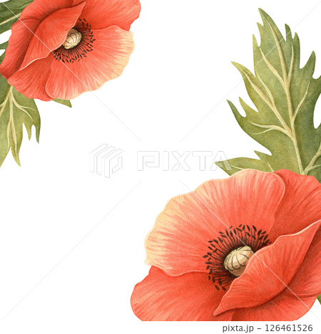 Red poppies bright floral template. Elegant hand-drawn frame with detailed flowers and leaves with white background. Perfect for seasonal garden decoration, Memorial, ANZAC Day, women's day postcard Red poppies bright floral template. Elegant hand-drawn frame with detailed flowers and leaves with white background. Perfect for seasonal garden decoration, Memorial, ANZAC Day, women's day postcard 126461526