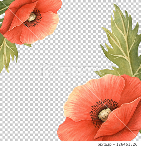 Red poppies bright floral template. Elegant hand-drawn frame with detailed flowers and leaves with white background. Perfect for seasonal garden decoration, Memorial, ANZAC Day, women's day postcard Red poppies bright floral template. Elegant hand-drawn frame with detailed flowers and leaves with white background. Perfect for seasonal garden decoration, Memorial, ANZAC Day, women's day postcard 126461526