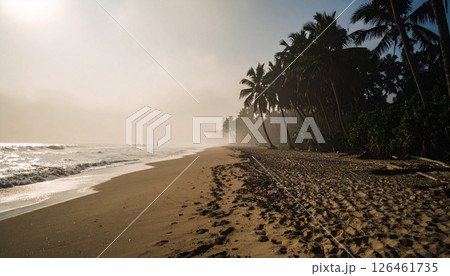 tropical beach with palm trees background with copy space. Generated Image 126461735