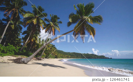 tropical beach with palm trees background with copy space. Generated Image 126461741