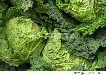 Green savoy cabbage heads and leaves, closeup photo 126461865