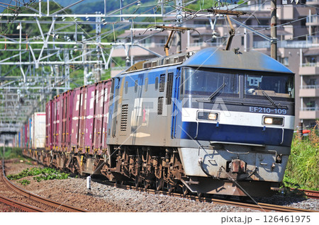 東海道本線　真鶴　JR貨物　EF210-109（吹田） 126461975