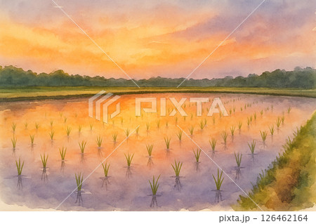 夕焼けに染まる田んぼの風景・水彩イラスト 126462164