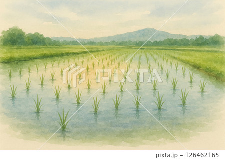 初夏の田んぼと山の風景・水彩イラスト 126462165