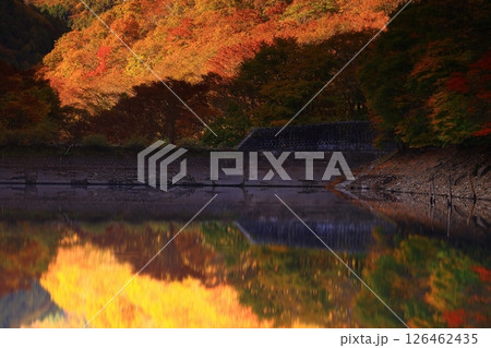 岩手県遠野市　秋の仙人峠 126462435