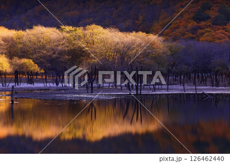 岩手県遠野市 秋の仙人峠 岩手県遠野市 秋の仙人峠 126462440