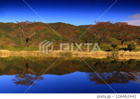 岩手県遠野市　秋の仙人峠 126462442