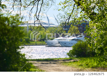 View of the mega yachts standing at the pier through the branches of trees on a clear sunny day, residential buildings and a stadium in the background, Russia, St.Petersburg 126462675