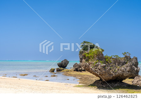 青い空と青い海 126462825